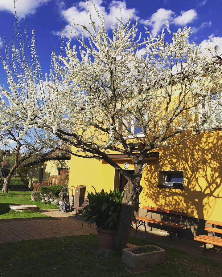 Apartman Novakovi Nachod Bagian luar foto